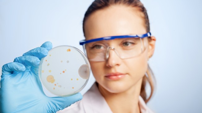 Technicienne de laboratoire en blouse et gants examinant une boîte de Petri, contrôle du traitement antibactérien DURAcare Liquid
