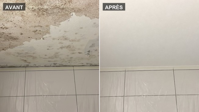 Plafond de salle de bains envahi de moisissures noires, puis assaini et repeint en blanc