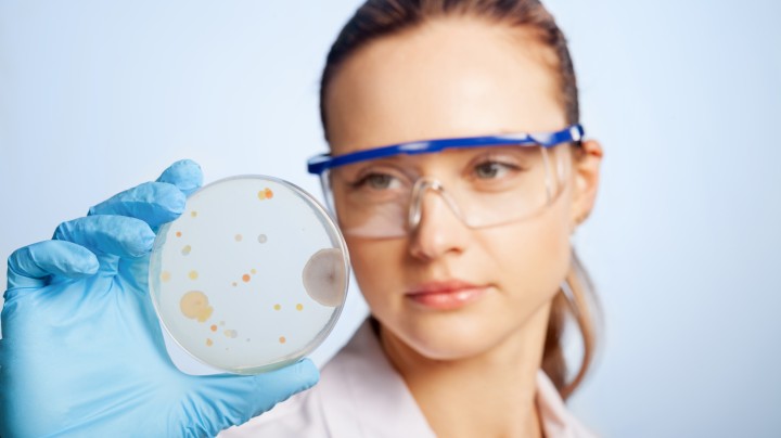 Technicienne de laboratoire en blouse et gants examinant une boîte de Petri, contrôle du traitement antibactérien DURAcare Liquid
